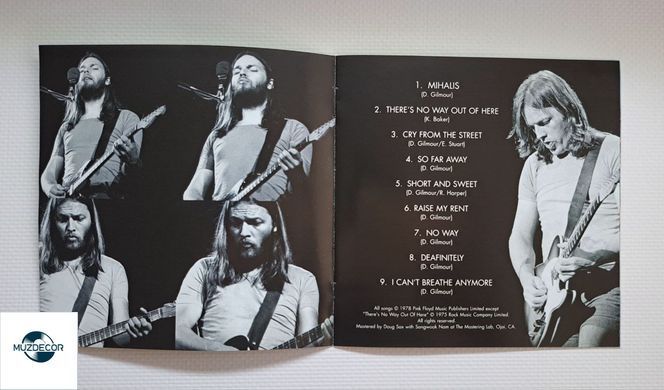 David Gilmour &ndash; David Gilmour (1978) Audio CD (импорт, буклет)
