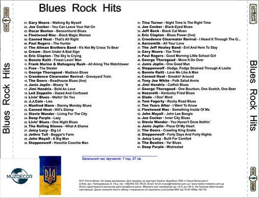 Blues Rock Hits, MP3