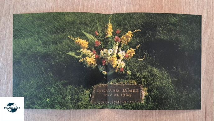 Aphex Twin &ndash; Richard D. James Album (1996) Audio CD
