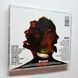 Metallica - Hardwired&hellip; to Self-Destruct (2016) 2 Audio CD, (імпорт, буклет)