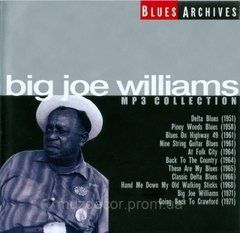 BIG JOE WILLIAMS MP3