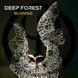 Deep Forest &ndash; Burning (2023) Audio CD (імпорт, буклет)