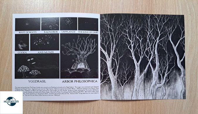 Radiohead &mdash; The King Of Limbs (2011) Audio CD