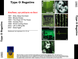 Type O Negative MP3