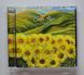 Chris Rea &ndash; One Fine Day (1980) Audio CD (імпорт, буклет)