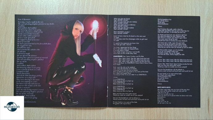 Lady Gaga &mdash; The Fame (2008) Audio CD (імпорт, буклет)