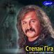 Степан Гіга MP3 2 CD