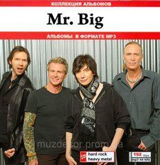 MR. BIG MP3