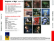 КОРОЛЬ І ШУТ МР3 4 CD