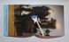 Robin Trower Feat. Sari Schorr &ndash; Joyful Sky (2023) Audio CD (імпорт, буклет)