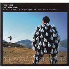 PINK FLOYD "A Delicate Sound of Thunder" (Remixed & Updated) 2 Audio CD (digipak)