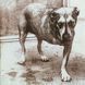 Alice In Chains &ndash; Alice In Chains (1995) Audio CD (импорт, буклет)