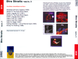 DIRE STRAITS MP3 3CD