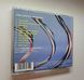 Pink Floyd &ndash; The Division Bell (1994) Audio CD (імпорт, буклет)