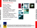 SOMATIC RESPONSES MP3