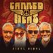 Canned Heat – Finyl Vinyl (2024) Audio CD (імпорт, буклет)